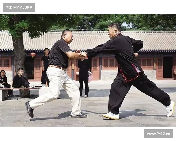 真中国功夫实战视频 真中国功夫实战视频